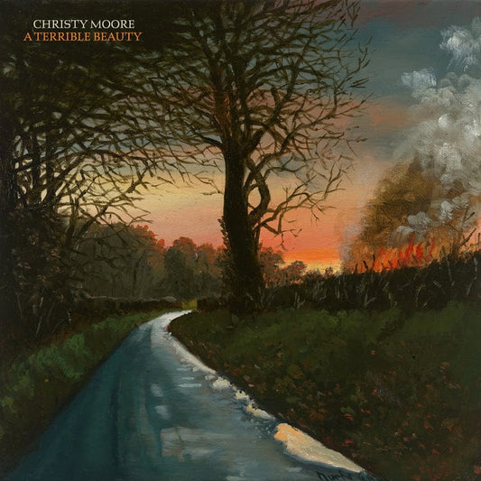 A Terrible Beauty - Christy Moore [VINYL]