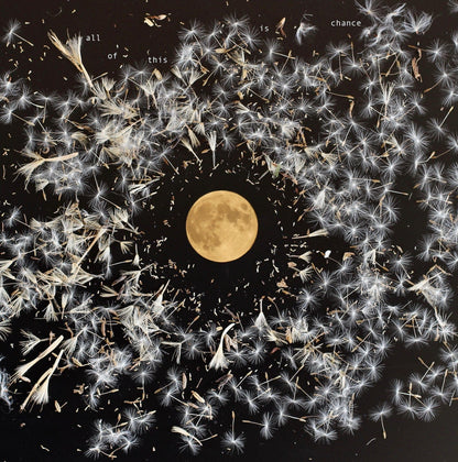 All of This Is Chance:   - Lisa O'Neill [VINYL]