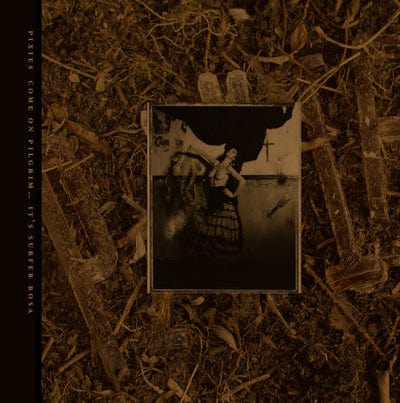 Come On Pilgrim... It's Surfer Rosa:   - Pixies [VINYL]