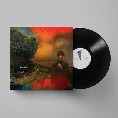 We've Been Going About This All Wrong:   - Sharon Van Etten [VINYL]