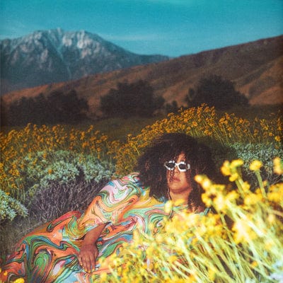 WHAT NOW - Brittany Howard [VINYL]