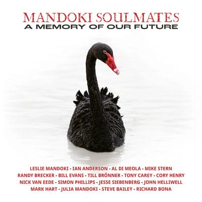A Memory of Our Future - Mandoki Soulmates [VINYL Limited Edition]
