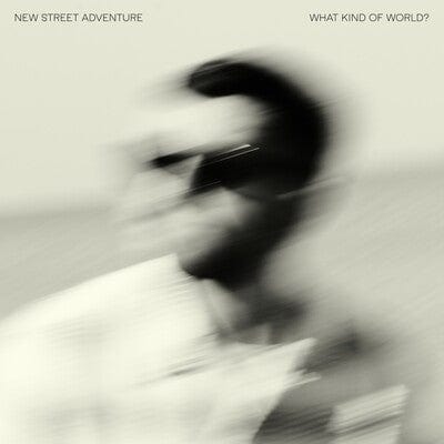 What Kind of World? - New Street Adventure [VINYL]