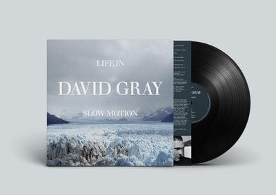 Life in Slow Motion (20th Anniversary Edition) - David Gray [VINYL]