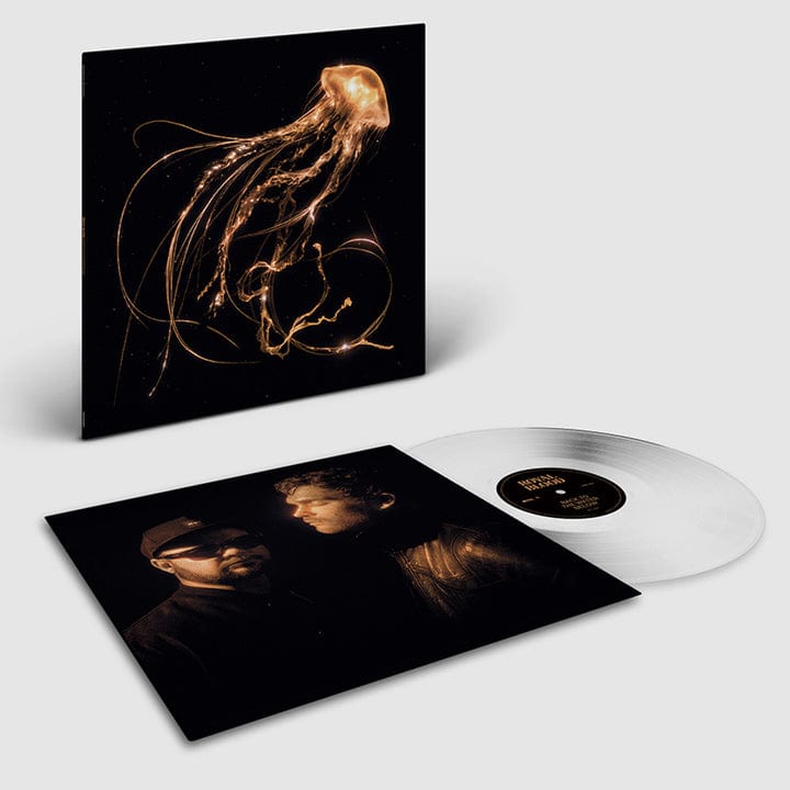 Back to the Water Below - Royal Blood [VINYL Limited Edition]